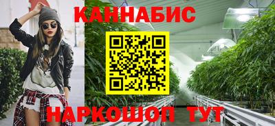 Альфа ПВП Кандалакша
