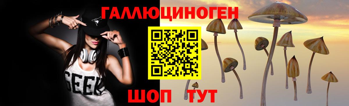 Жигулёвск  Галлюциногенные грибы Cubensis  Вход с VPN  Псилоцибиновые грибы мицелий 