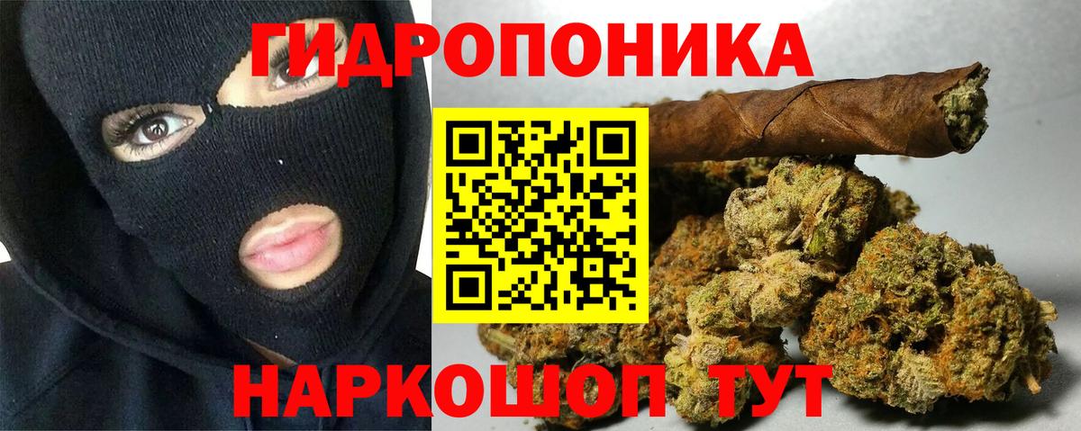 Канабис индика  МАРИХУАНА план  Жигулёвск  Шишки марихуана планчик  Шишки марихуана Ganja  Вход с VPN 